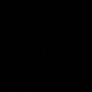 Meet your Posher, Kamil